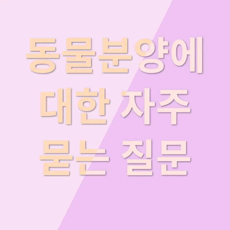 동물분양_4