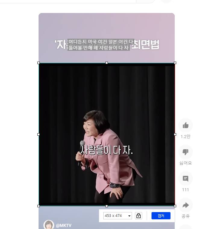 알캡쳐 크기지정 화면캡쳐 방법