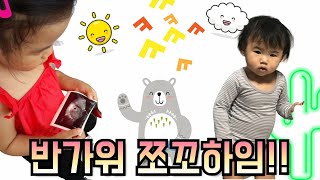  반가워!! 러블랑임의 쪼꼬하임을 소개합니다