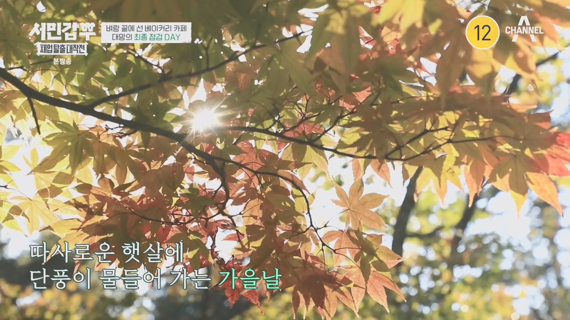 서민갑부 폐업 탈출 대작전.E14.231021p.H264-F1RST.mp4_20231022_160303.090.jpg