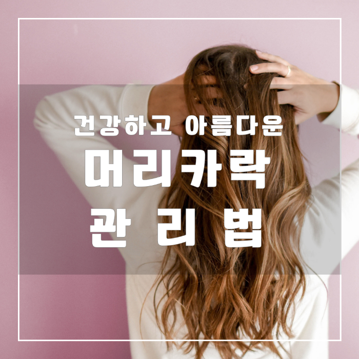 머리카락 관리법