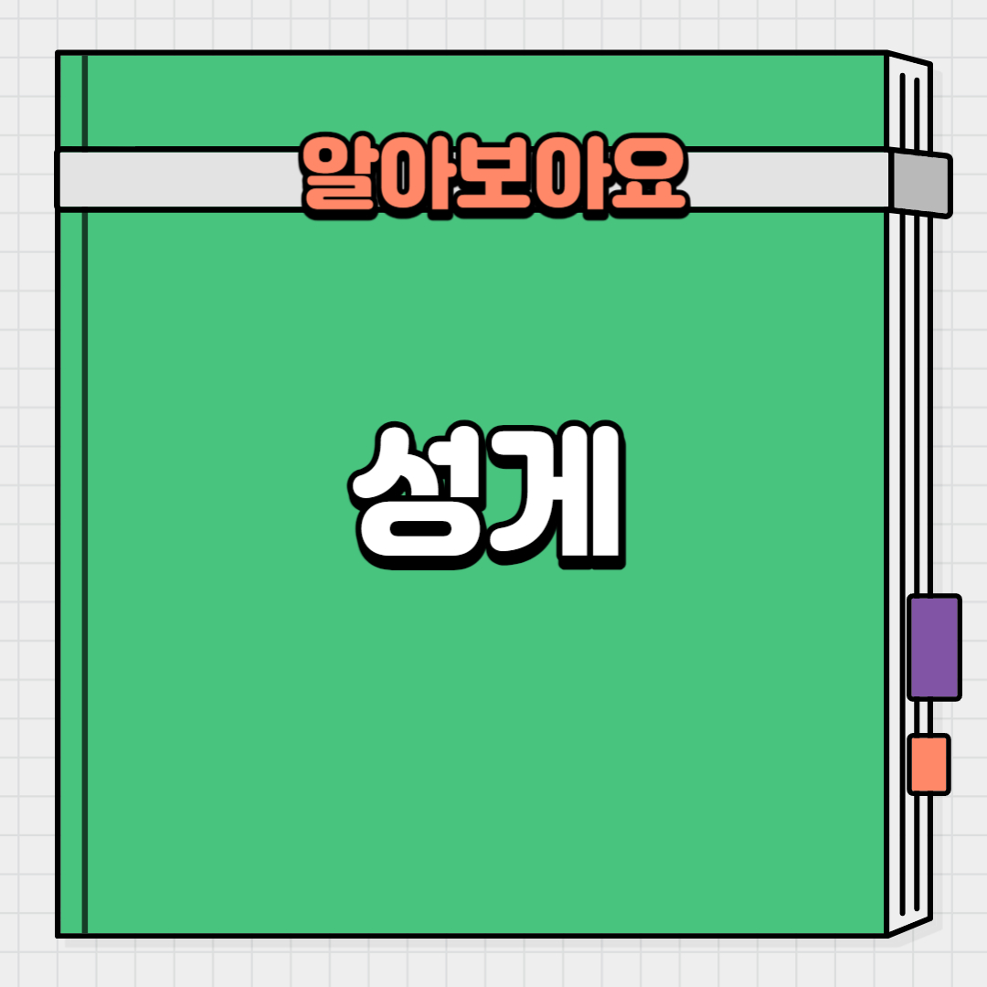  성게의 영양성분과 성게를 먹어야 하는 이유