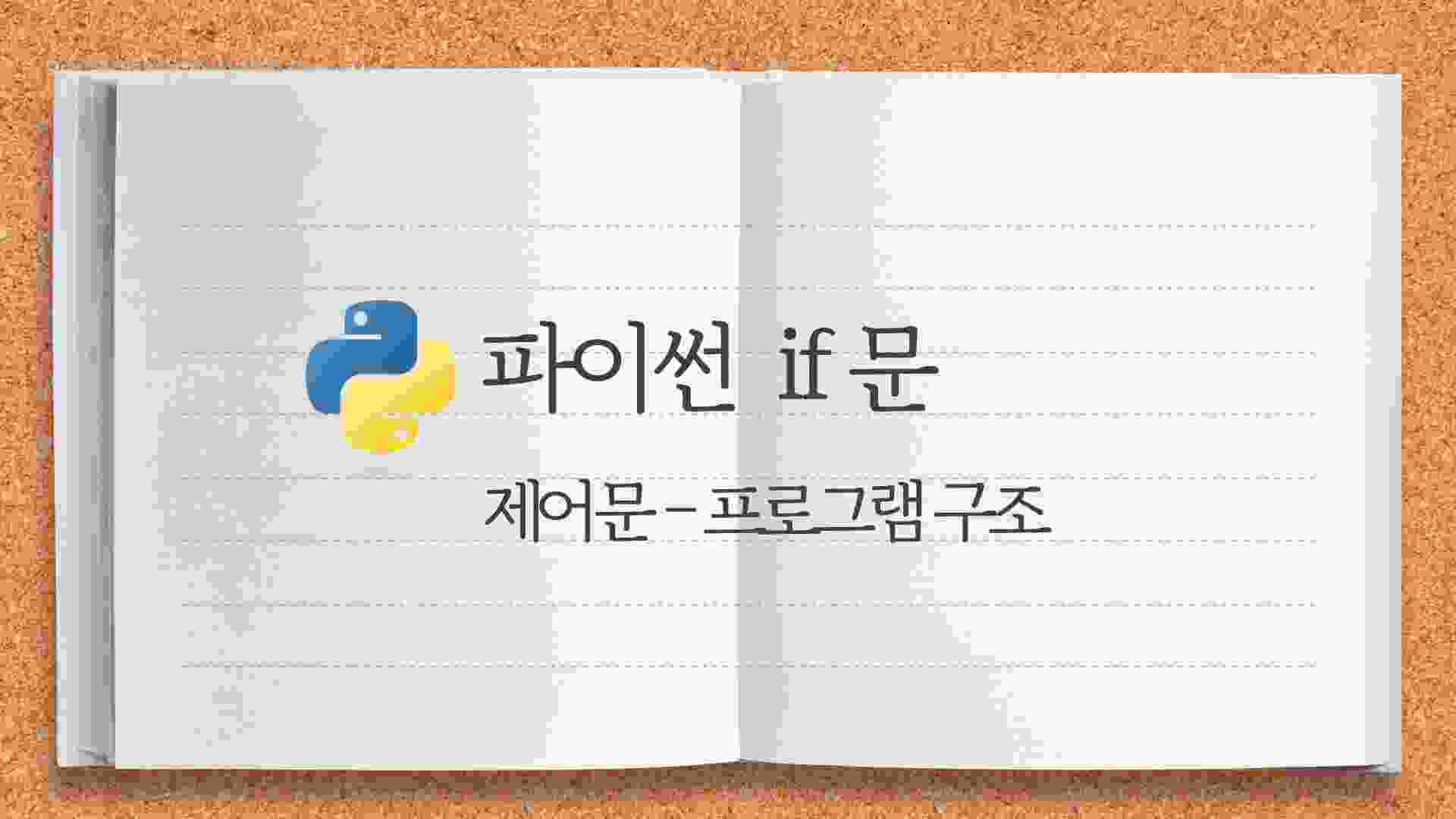 파이썬 if문