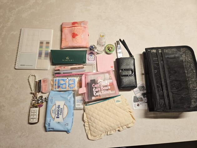 (내돈내산) 다이소 백인백메시토트백 가성비 최고의 보부상 가방!!! (가방정리 용품)