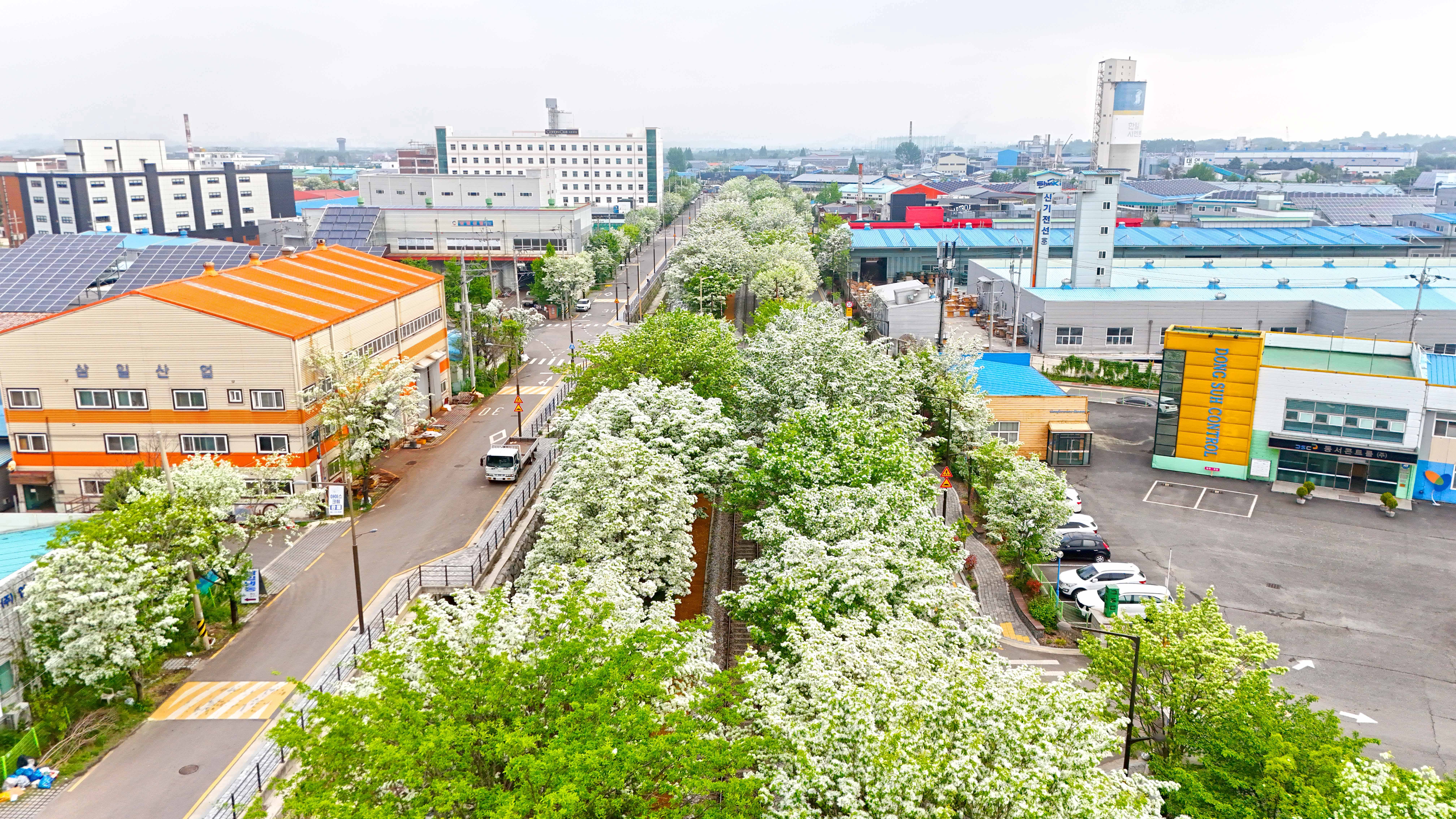 전주 팔복동 이팝나무 철길