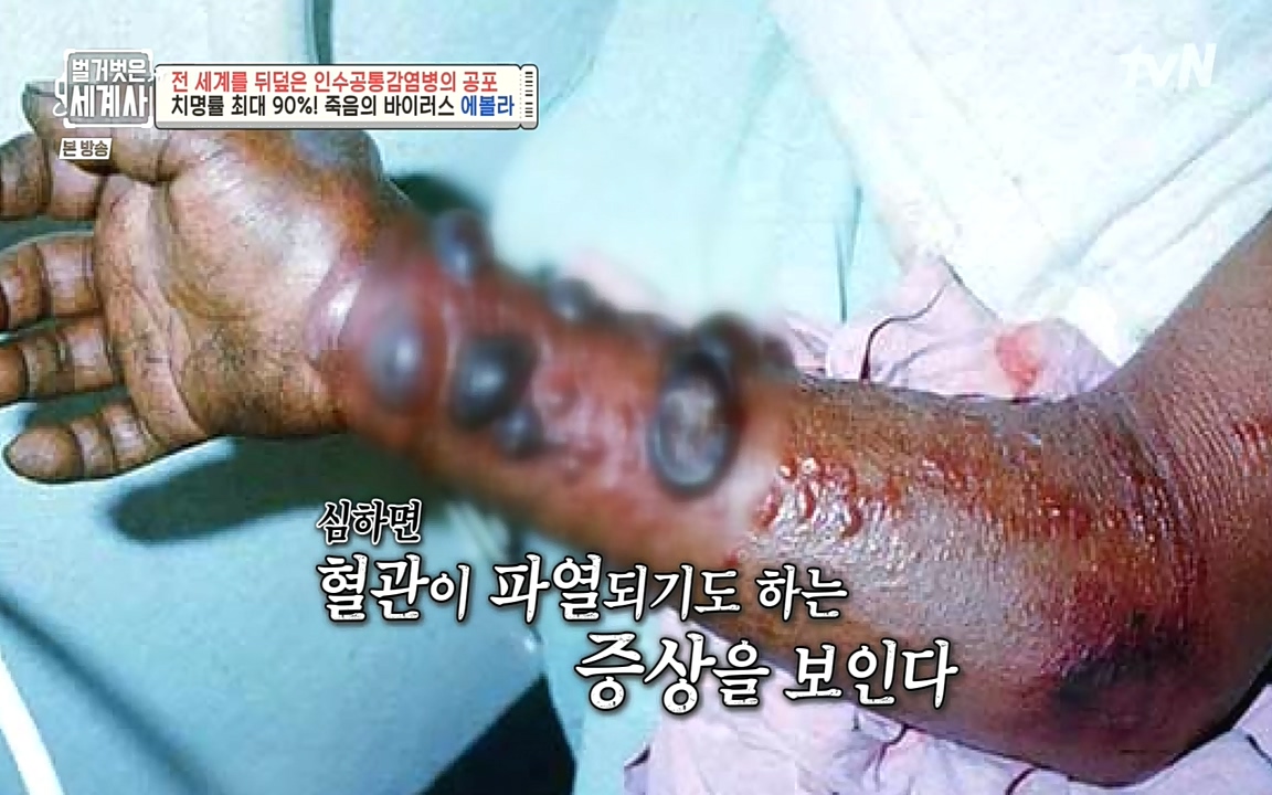 벌거벗은 세계사.E59.220810p-NEXT.mp4_20220810_212412.639.jpg