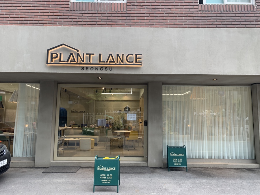 잭슨카멜레온, 플랜트란스 16