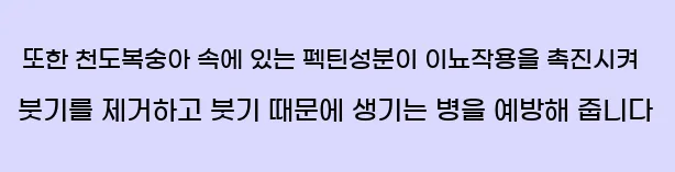  또한 천도복숭아 속에 있는 펙틴성분이 이뇨작용을 촉진시켜 붓기를 제거하고 붓기 때문에 생기는 병을 예방해 줍니다