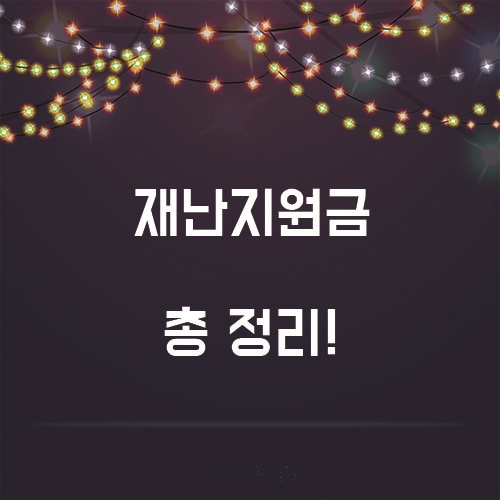 정부 긴급재난지원금 총 정리! 알고 제대로 사용하자!