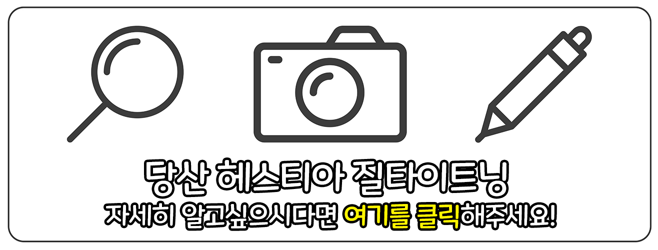 당산 헤스티아 질타이트닝 보러가기