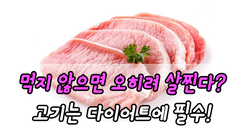  먹지 않으면 오히려 살찐다? 고기는 다이어트에 필수!
