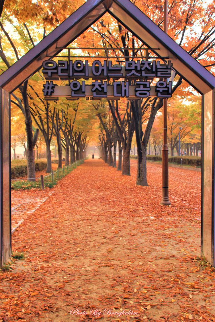  인천대공원 어느 멋진 가을날