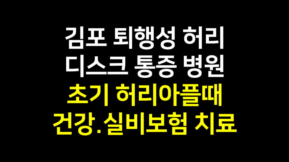  김포 퇴행성 허리디스크 통증 병원 : 초기 허리아플때 건강.실비보험 치료 받자!