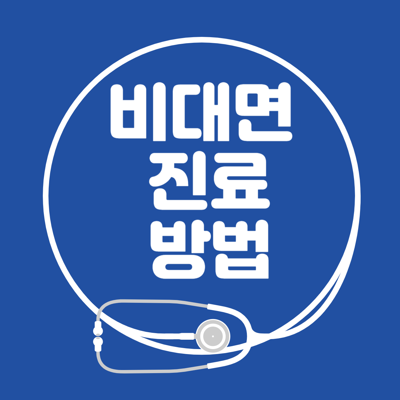 비대면 진료 방법 시범사업