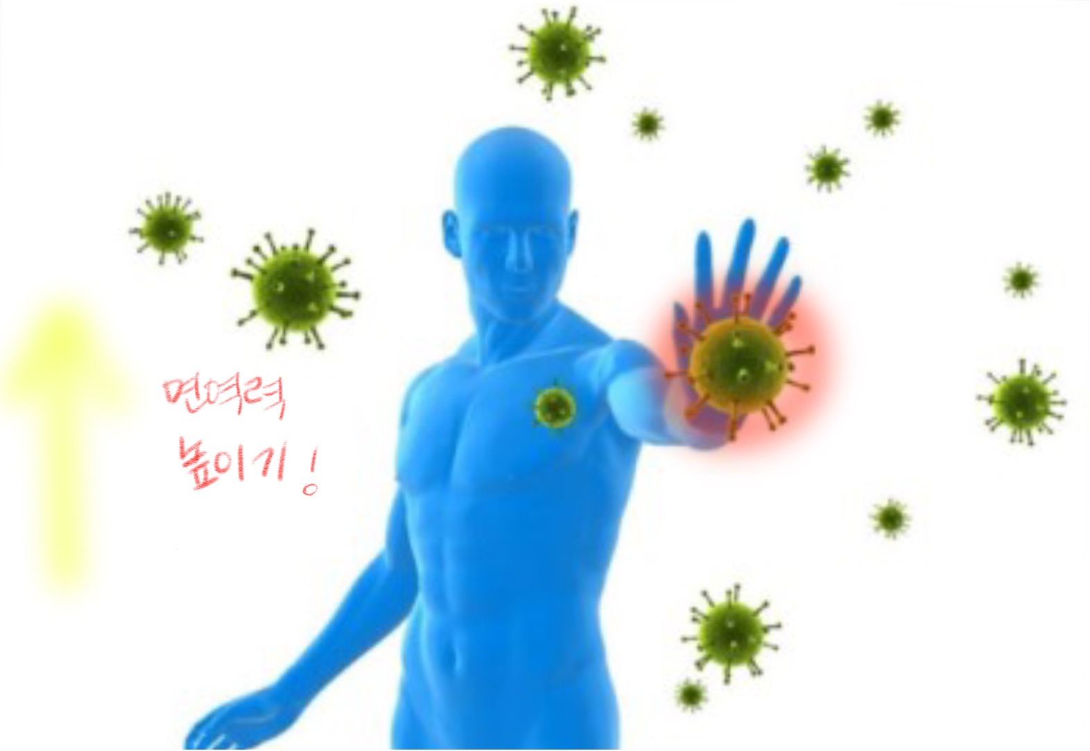  면역력 높이는 영양제 , 감기예방하기위해 필요하다?