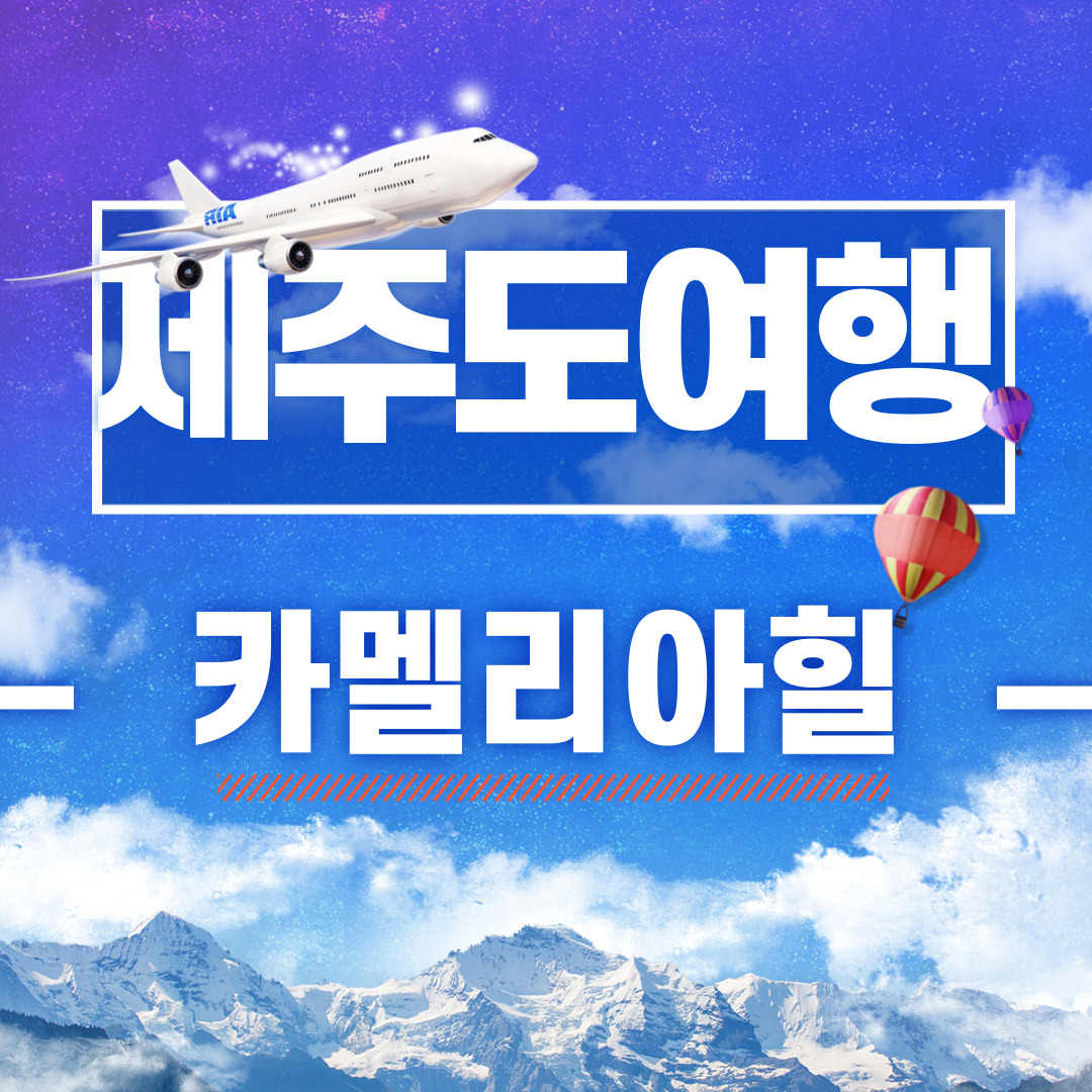  [제주도 필수 여행지] 제주도 수국 명소 카멜리아힐