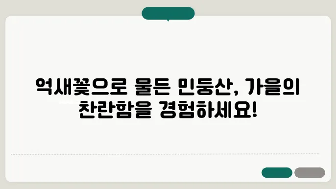 가을 제철 억새꽃으로 가득한 민 둥산