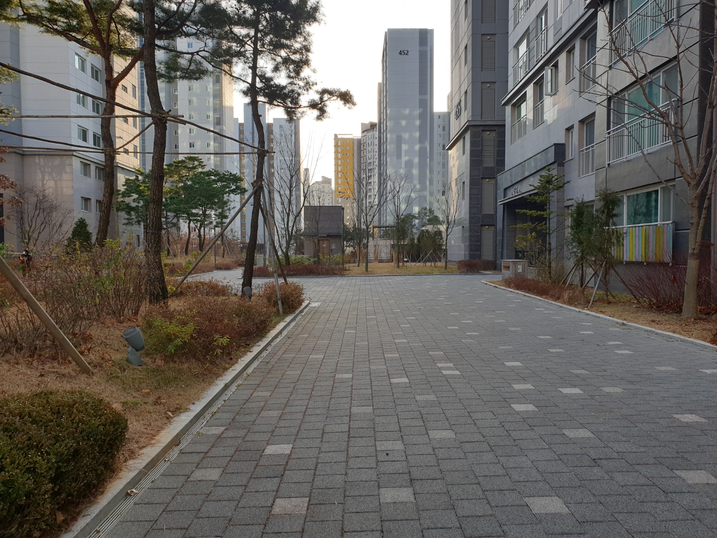경찰행정학과 순위 최신 정보 경찰행정학과 순위 최신 정보