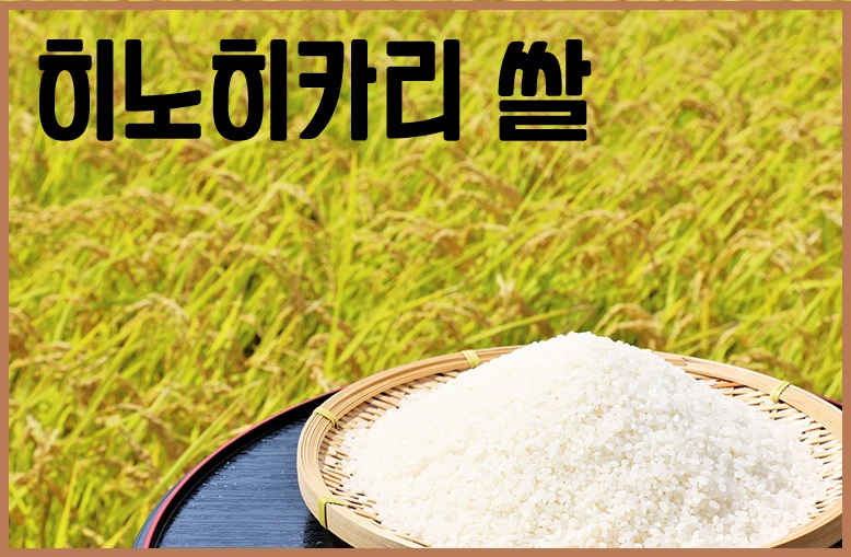 히노히카리 쌀