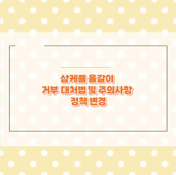 삼케플 올갈이 거부 대처법 및 주의사항 정책 변경