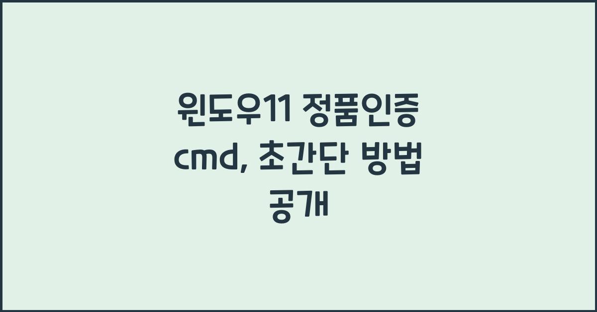윈도우11 정품인증 cmd