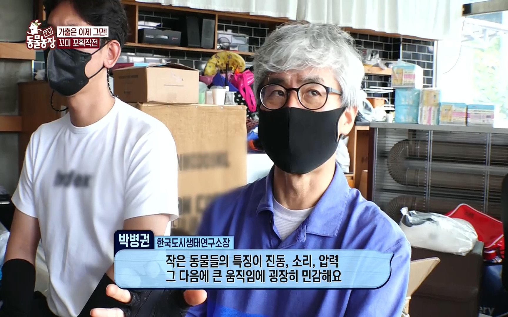 TV 동물농장.E1086.220911p.H264-F1RST.mp4_20220911_175407.803.jpg