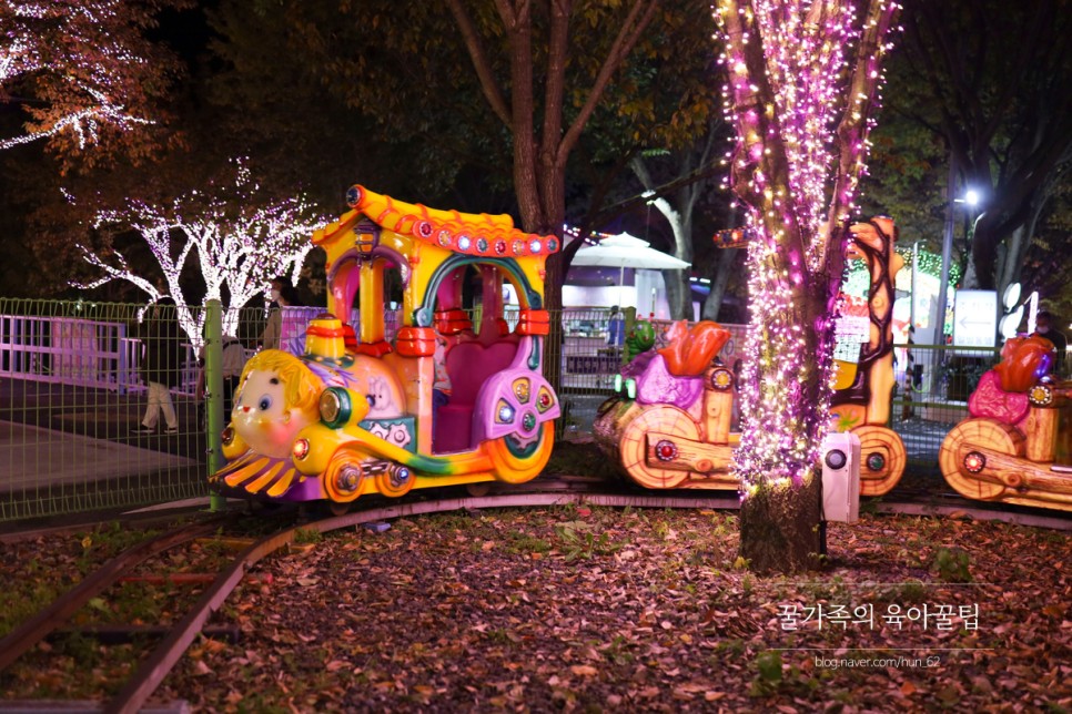 경북 축제 경북 아이와가볼만한곳 청도 29