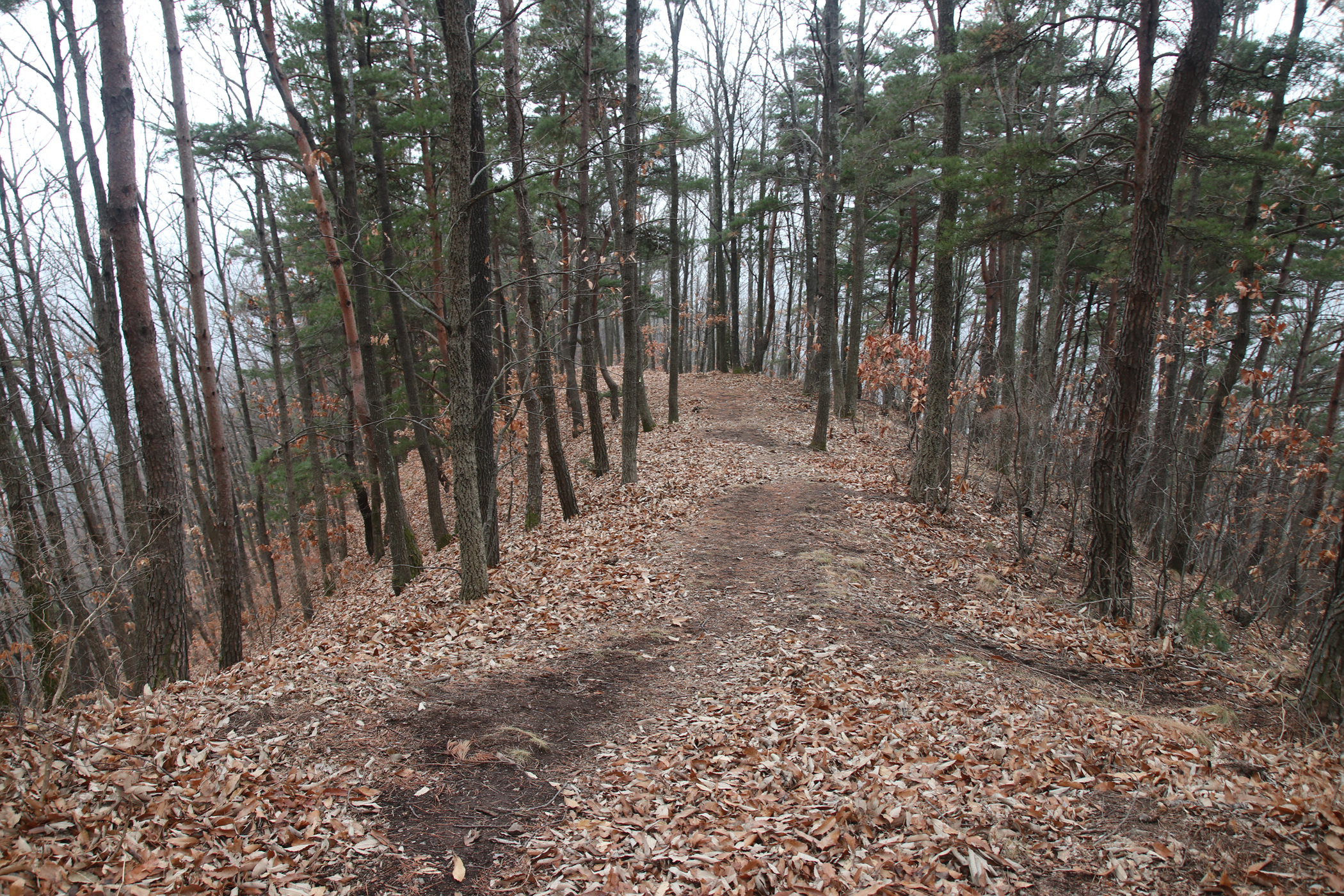 경남 의령군 국사봉 05 36