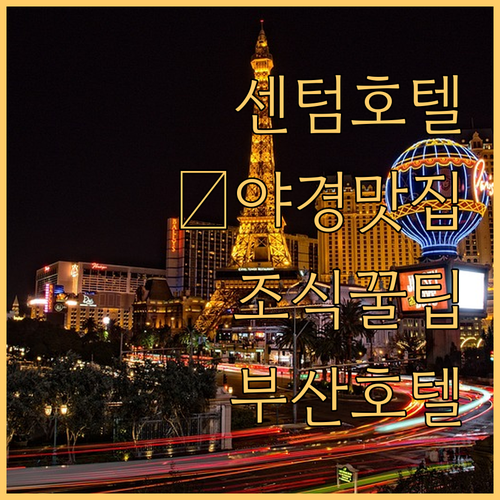 부산 센텀 호텔 완벽 분석! ✨ 야경