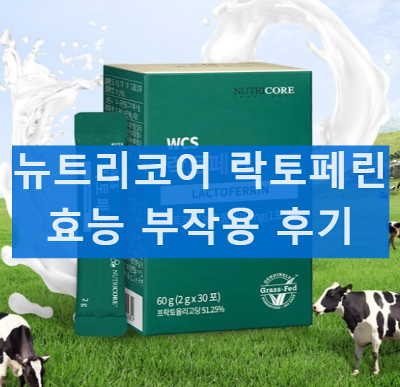 뉴트리코어 WCS 락토페린의 효능 부작용 후기 가격