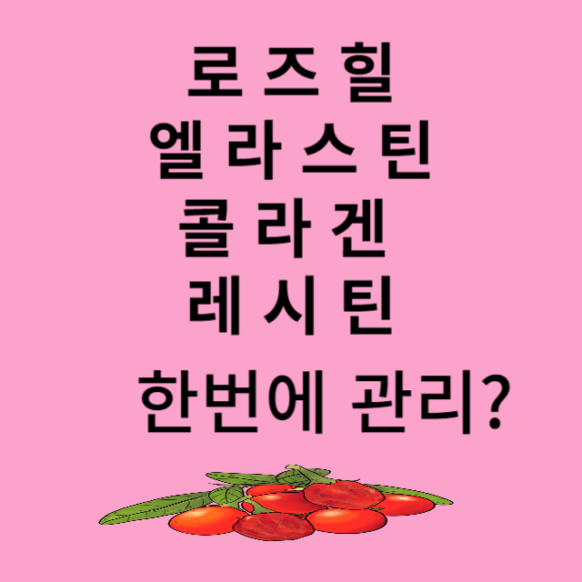 로즈힐퓨레 엘라스틴