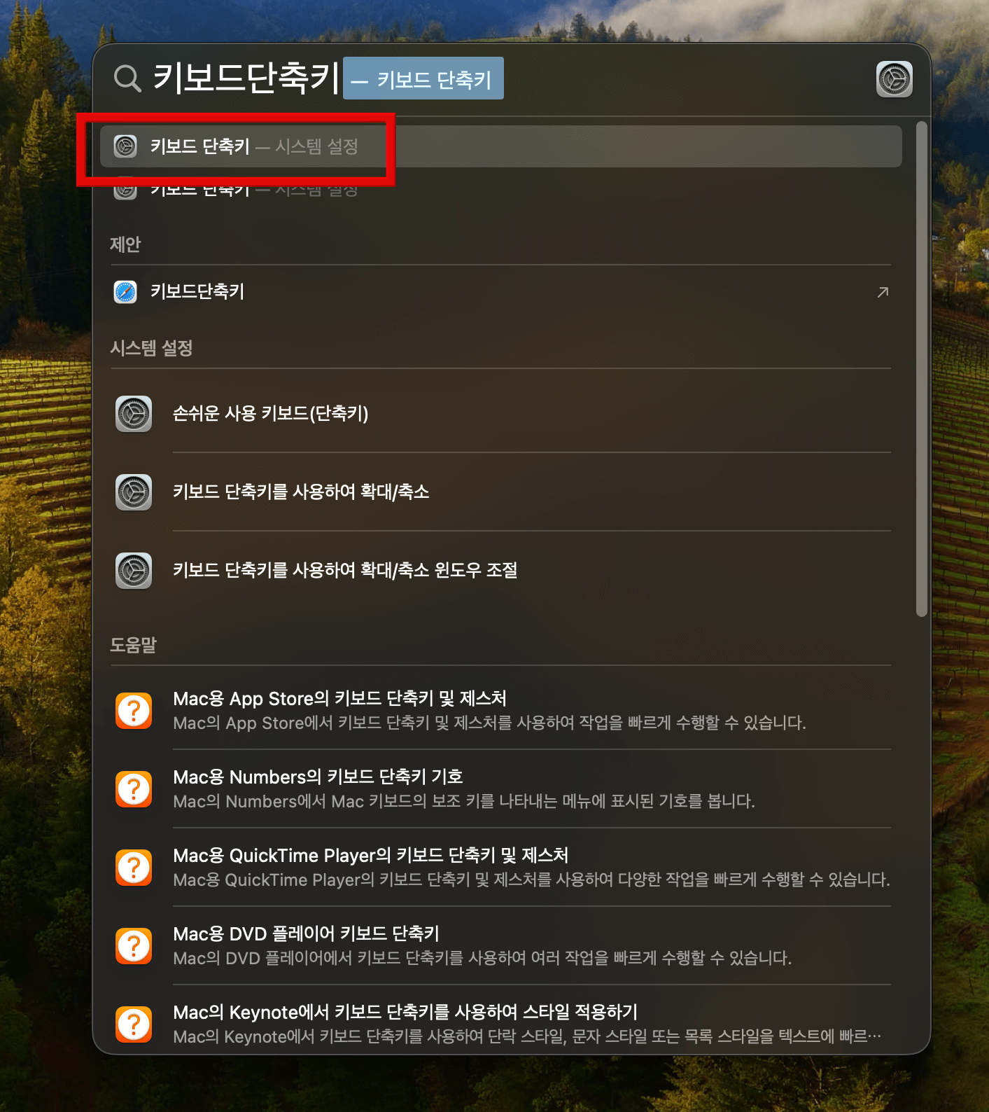 스포트라이트에서-키보드-단축키-검색해-시스템-설정-이동