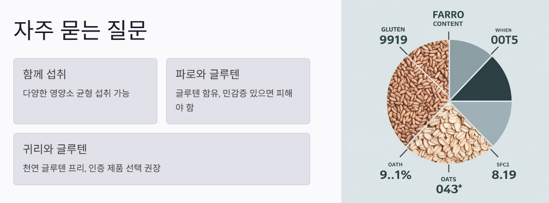 사람들이 궁금해 하는 Q&amp;A