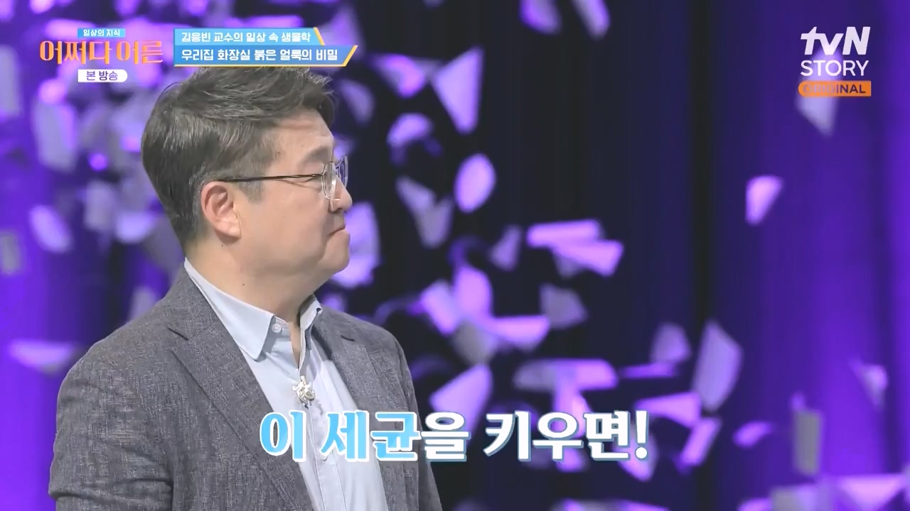 어쩌다 어른.E51.240410p-NEXT.mp4_20240410_180522.409.jpg