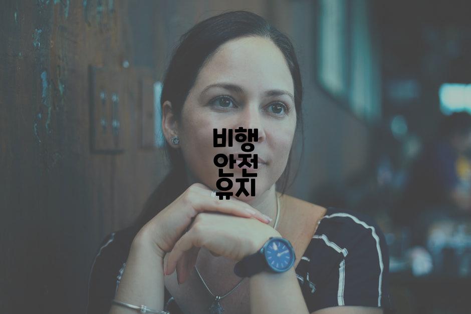비행 안전 유지