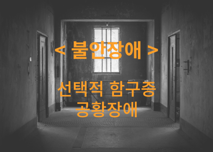 불안장애 선택적 함구증 공황장애