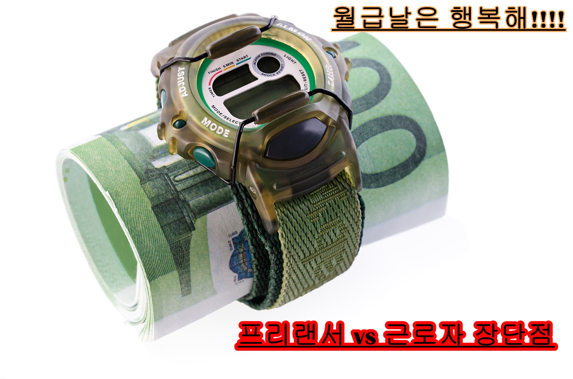  흙수저의 월급날!!! (프리랜서 vs 근로자의 장단점)