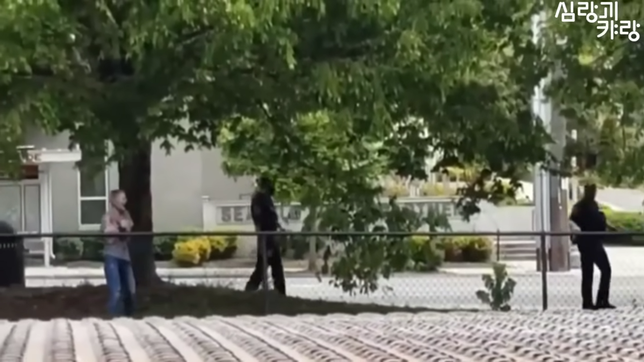 "모두를 공포에 떨게 한 동영상의 충격적인 진실이 밝혀집니다."