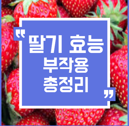  딸기 효능 부작용 핵심정리