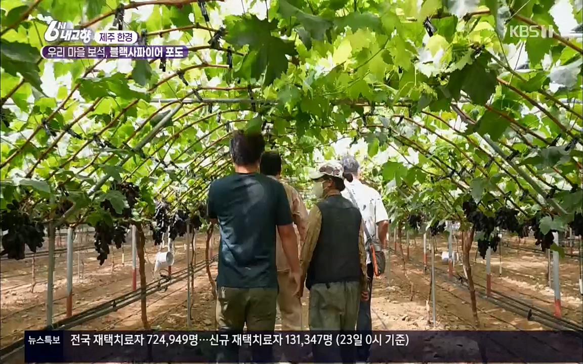 6시 내고향.E7602.220824p.H264-F1RST.mp4_20220825_171306.579.jpg