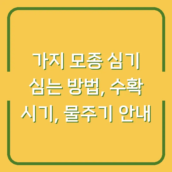 가지 모종 심기 심는 방법, 수확 시기, 물주기 안내
