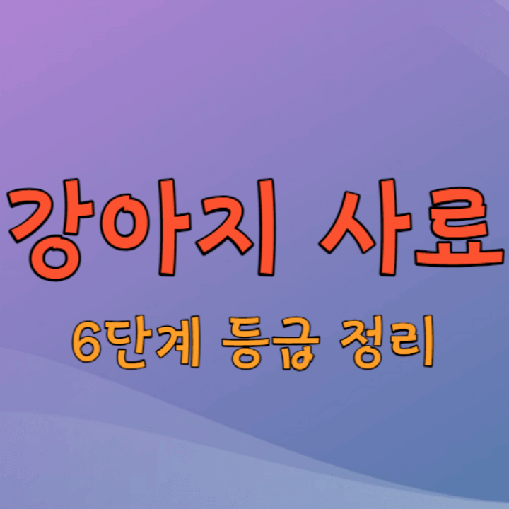 강아지 사료 등급 6가지