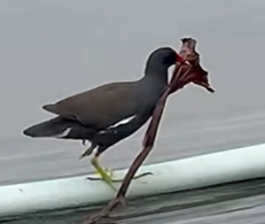 세이 이미지