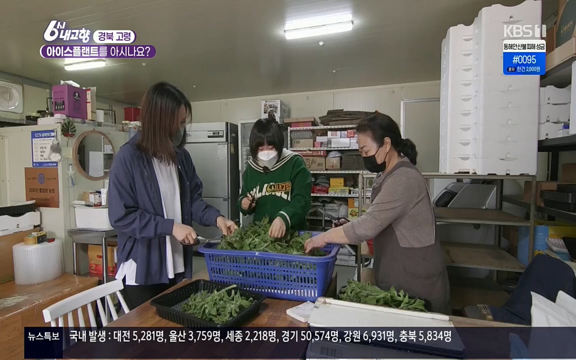 6시 내고향.E7498.220329p.H264-F1RST.mp4_20220329_184029.822.jpg