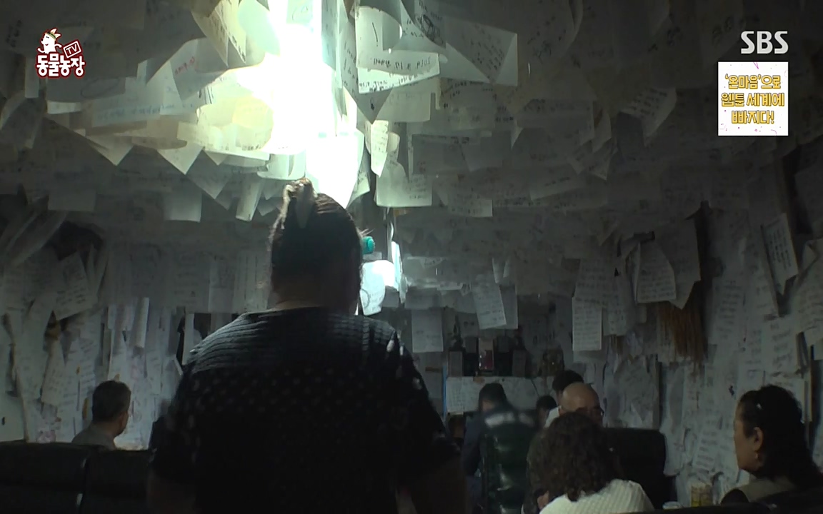 TV 동물농장.E1079.220725p-NEXT.mp4_20220724_151930.633.jpg