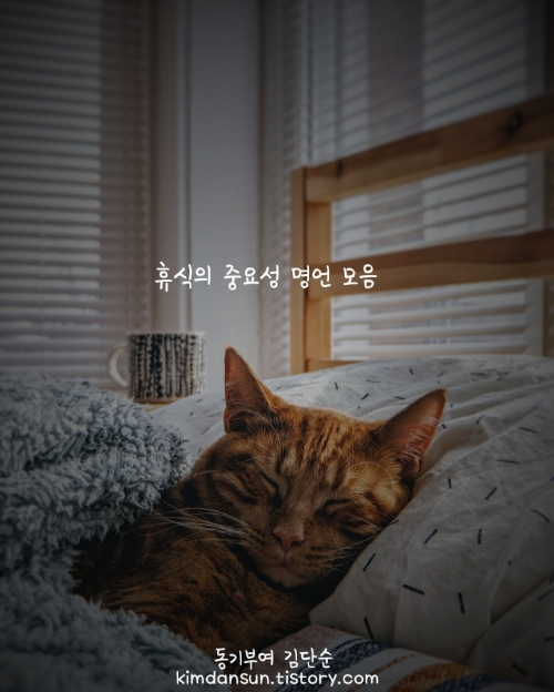 휴식의-중요성-명언-모음-메인사진
고양이가-침대에서-자고있는-모습
