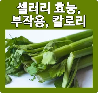 셀러리 먹는법 주스 효능_19