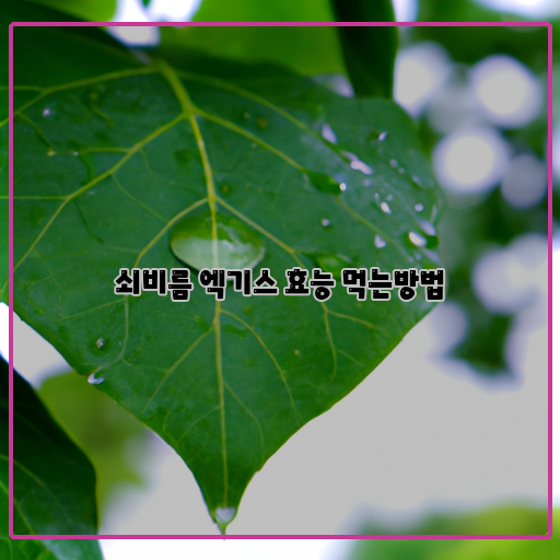  쇠비름 엑기스 효과 극대화! 효능과 먹는 방법 알아보기