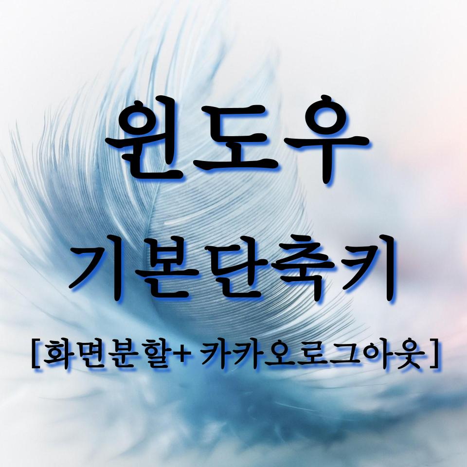  카카오 로그아웃 단축키 그리고 화면분할 기본 기능 익히기