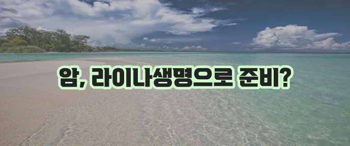 라이나생명 암보험 상품 안내 및 보장 준비법